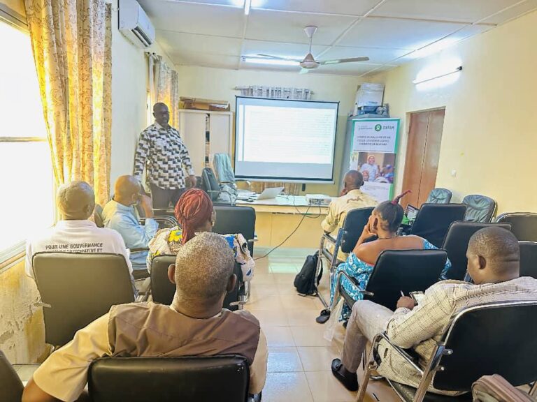 Renforcement de capacité des membres de la Délégation Spéciale de Boromo en gouvernance locale participative et inclusive.